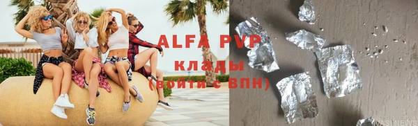 индика Белокуриха