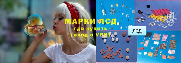 индика Белокуриха