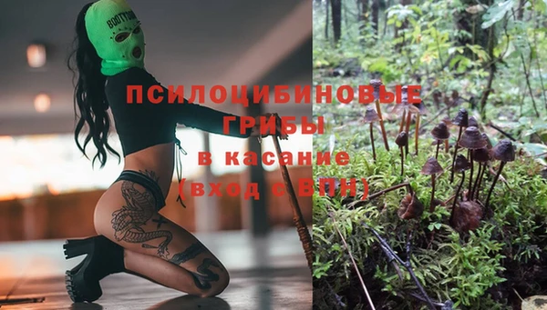 индика Белокуриха