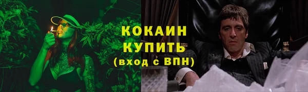 дживик Богданович