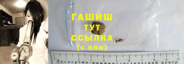 индика Белокуриха