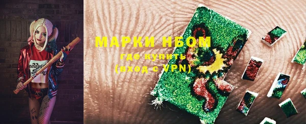 индика Белокуриха