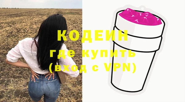 индика Белокуриха
