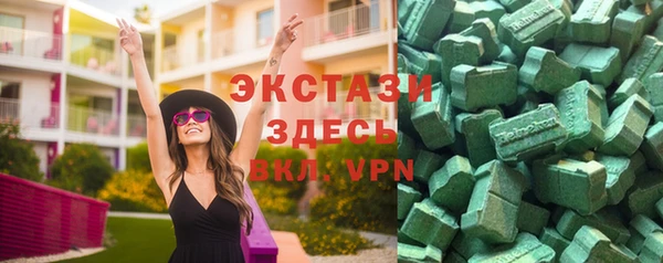 индика Белокуриха