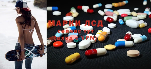 индика Белокуриха