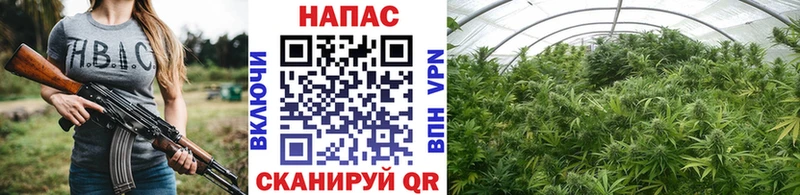 Купить  Советская Гавань  Канабис гибрид 